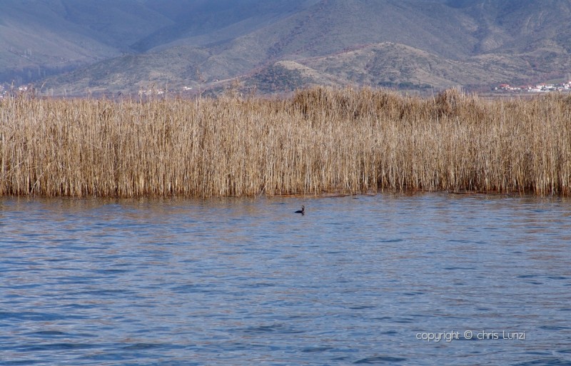 papia-limni-1200.jpg