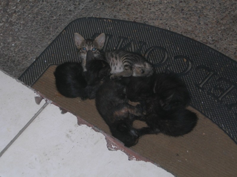 2004-12-31 23.00.00-27.jpg
