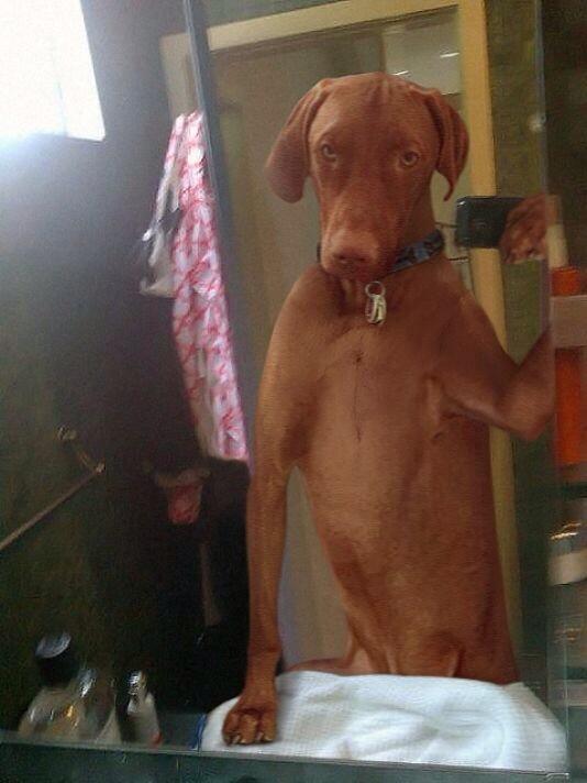 selfie.jpg