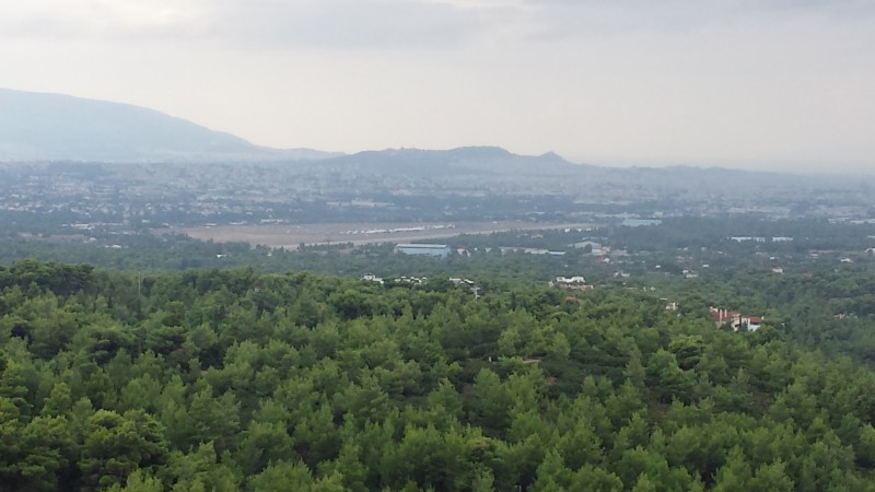 20140928_110218.jpg