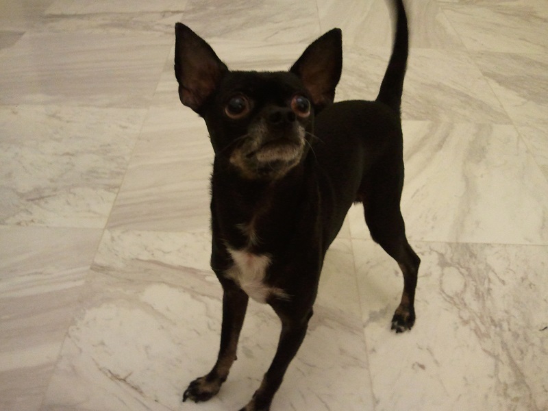 2010-11-15 18.45.49.jpg