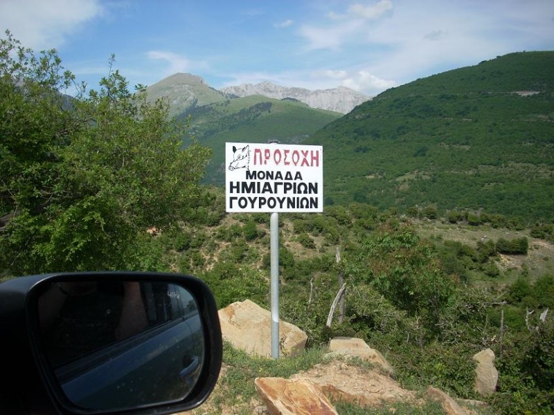 17.JPG