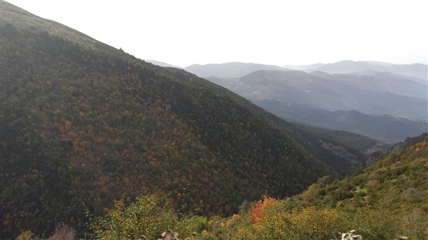 20141015_103617 (600 x 337).jpg