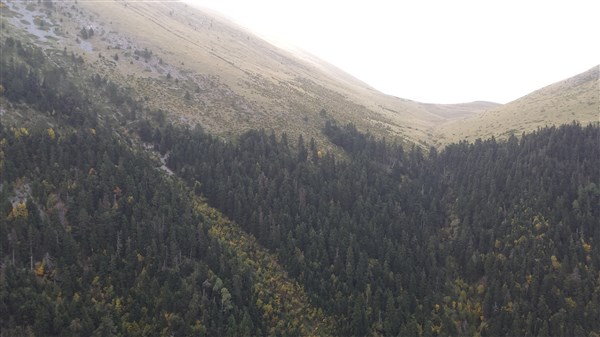 20141015_104137 (600 x 337).jpg