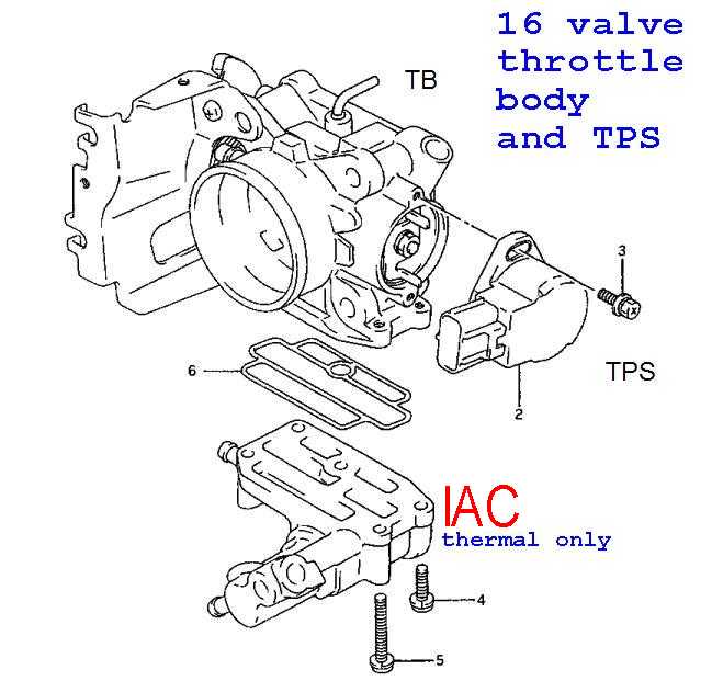 IAC.JPG