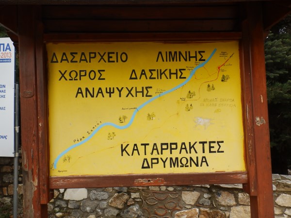 P1012980.jpg