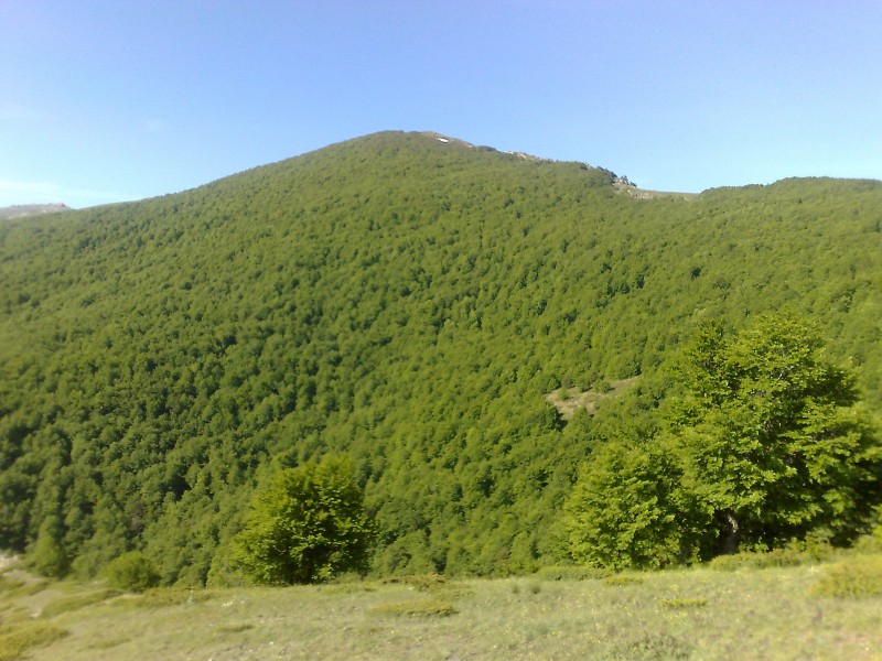 29052010377.jpg