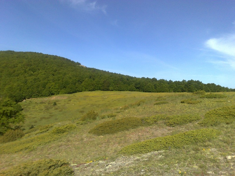 29052010379.jpg