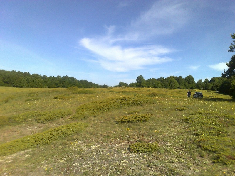29052010380.jpg