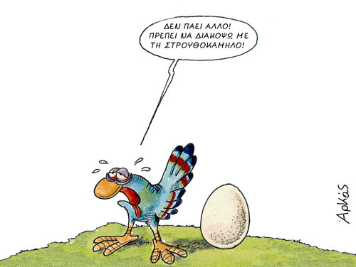 arkas-4.jpg