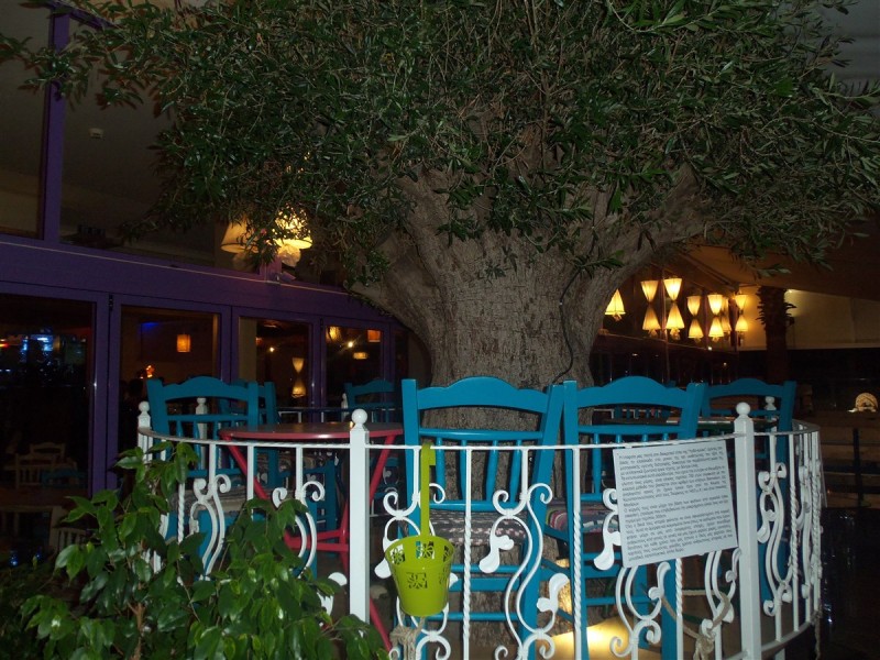 100_5027.jpg