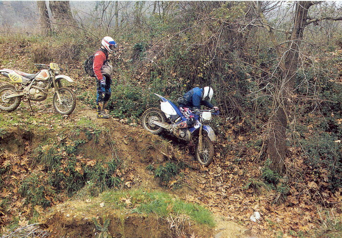 rapsani.jpg