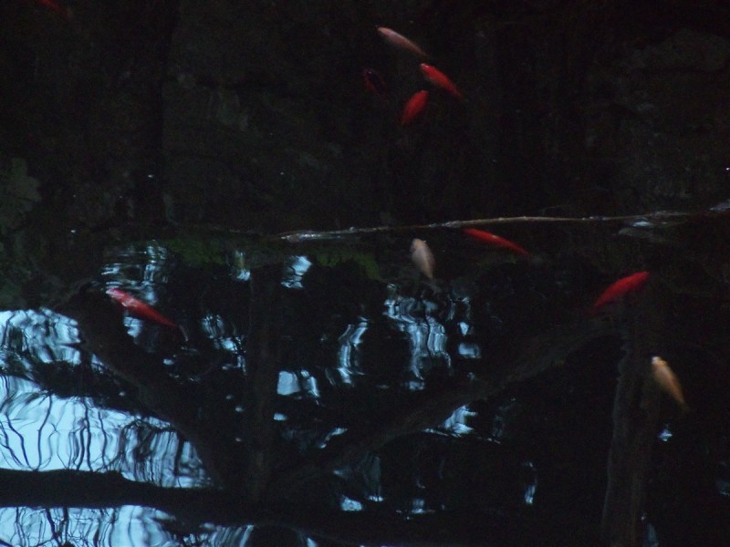 100_5059.jpg