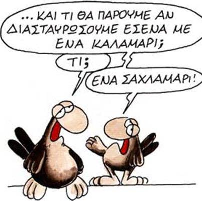 arkas-saxlamari.jpg