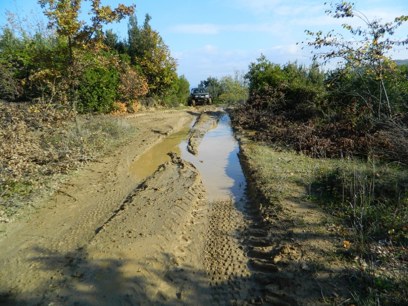 DSCN6900.JPG