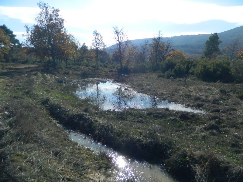 DSCN6909.JPG