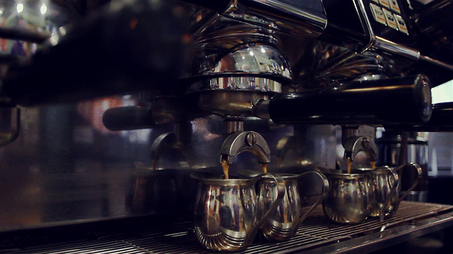 cinemagraphs_01.gif