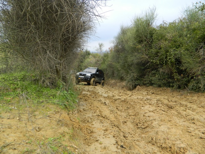 DSCN6940.jpg