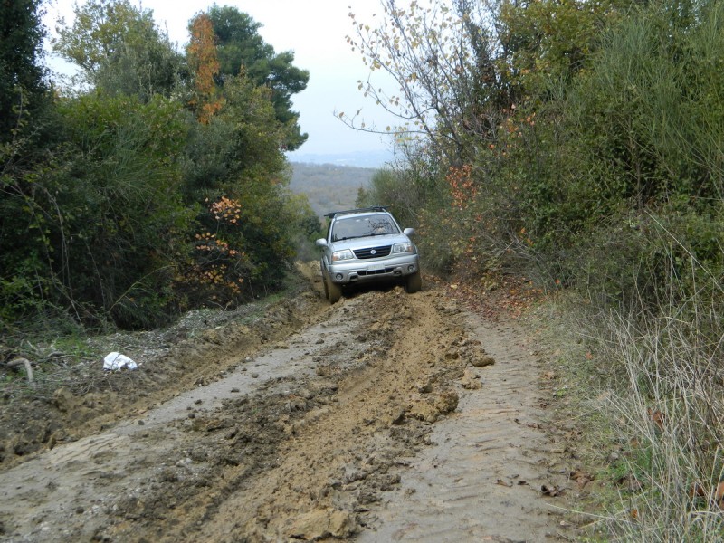 DSCN6948.jpg