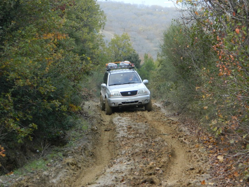 DSCN6951.jpg