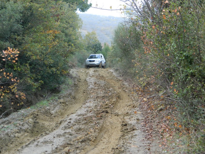 DSCN6952.jpg