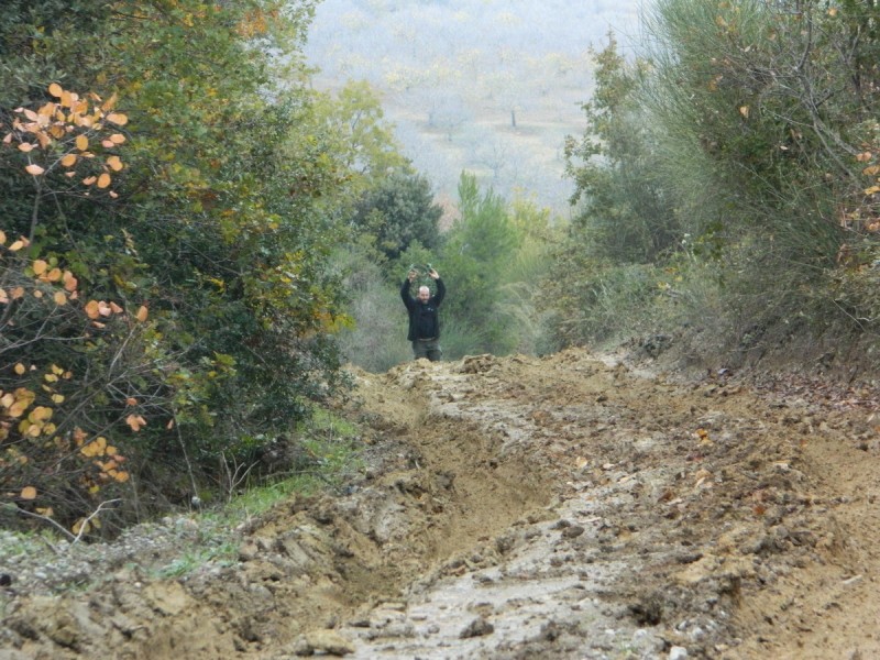 DSCN6954.jpg
