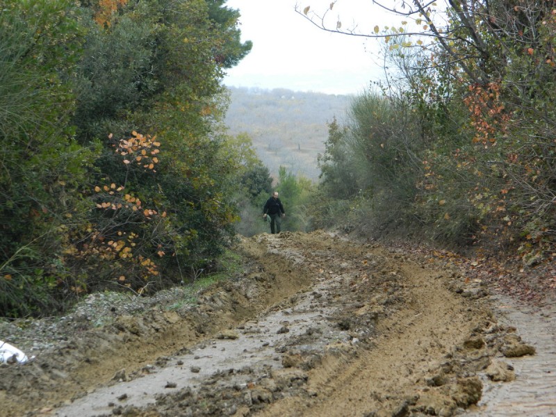 DSCN6955.jpg