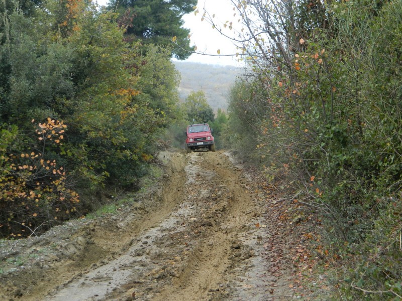 DSCN6960.jpg