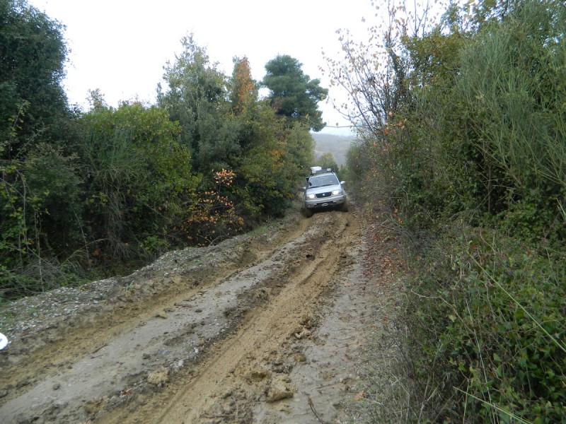 DSCN6963.jpg