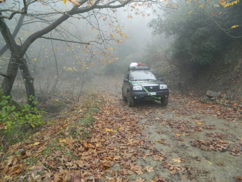 DSCN6974.jpg