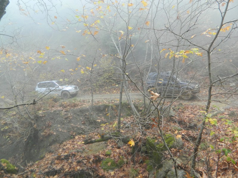 DSCN6978.jpg