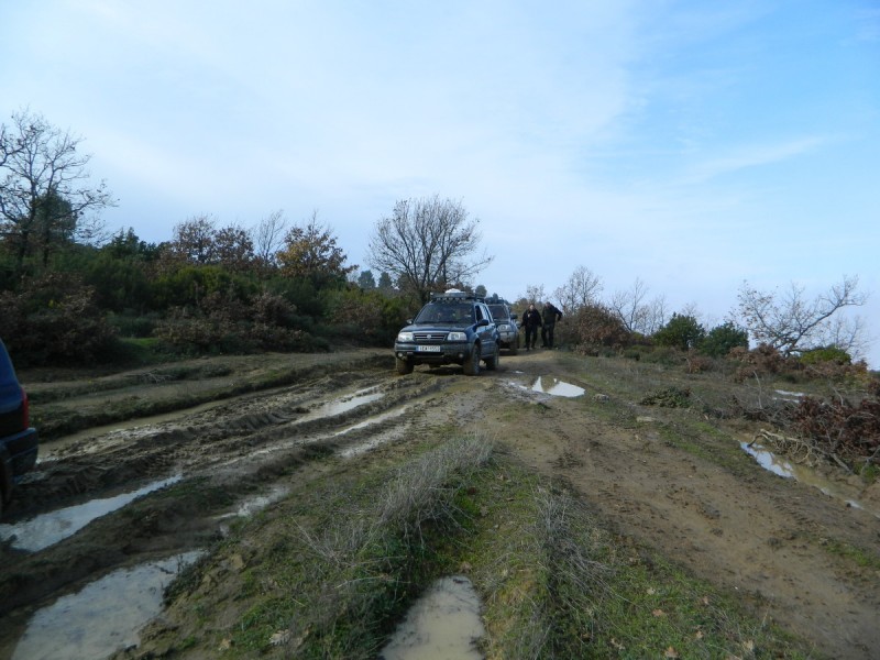 DSCN6987.jpg
