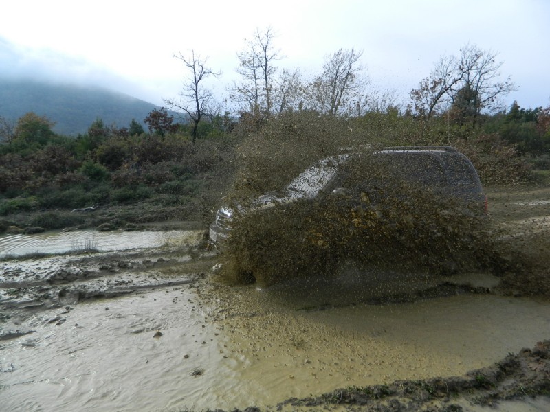 DSCN7006.jpg