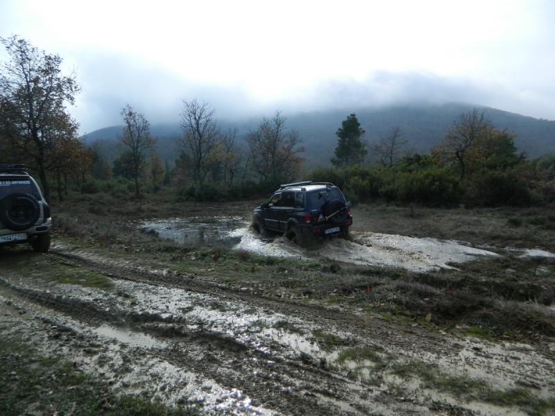 DSCN7007.jpg