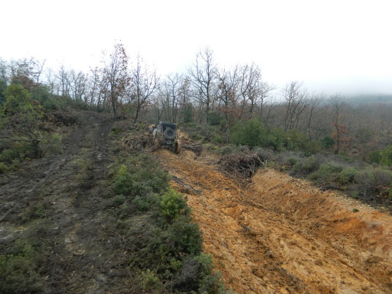 DSCN7034.jpg