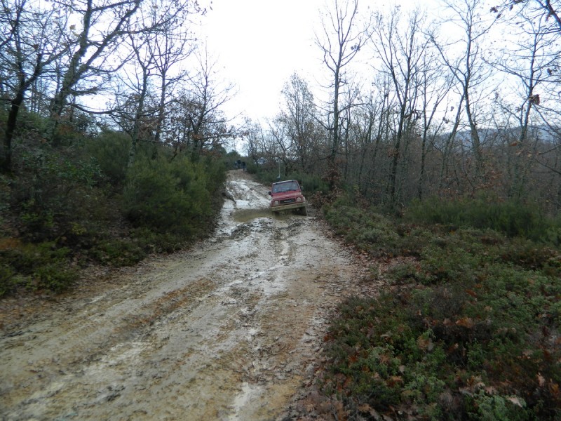 DSCN7035.jpg