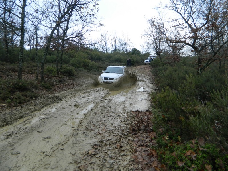 DSCN7037.jpg