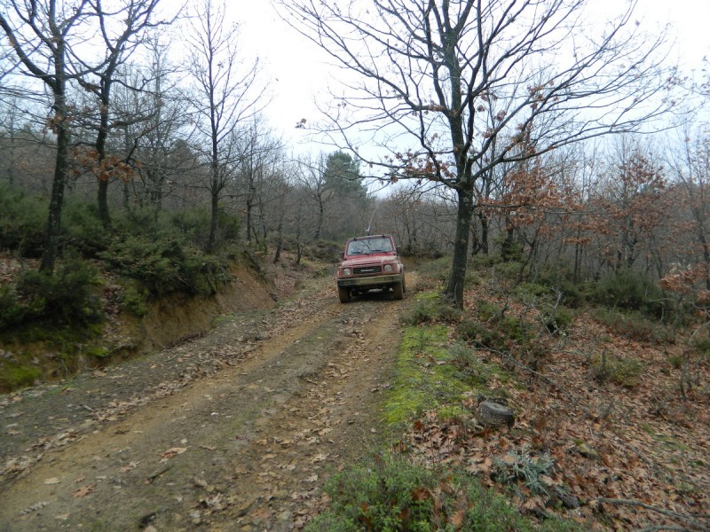 DSCN7040.jpg