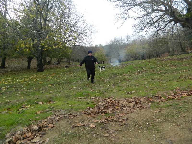 DSCN7053.jpg