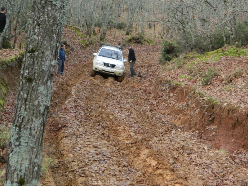 DSCN7066.jpg