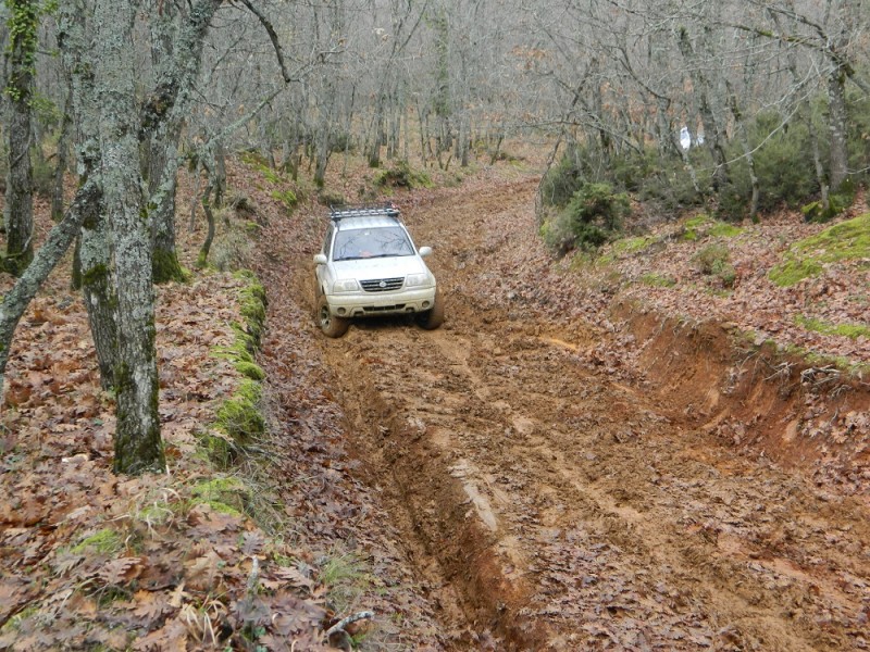 DSCN7074.JPG