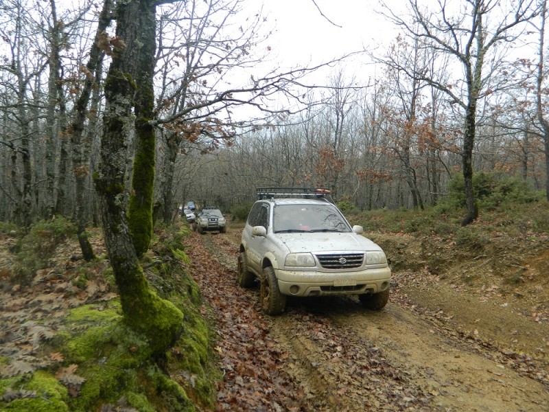 DSCN7086.JPG