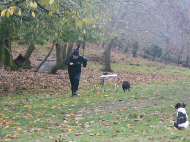 DSCN0088.JPG