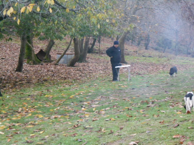 DSCN0086.JPG
