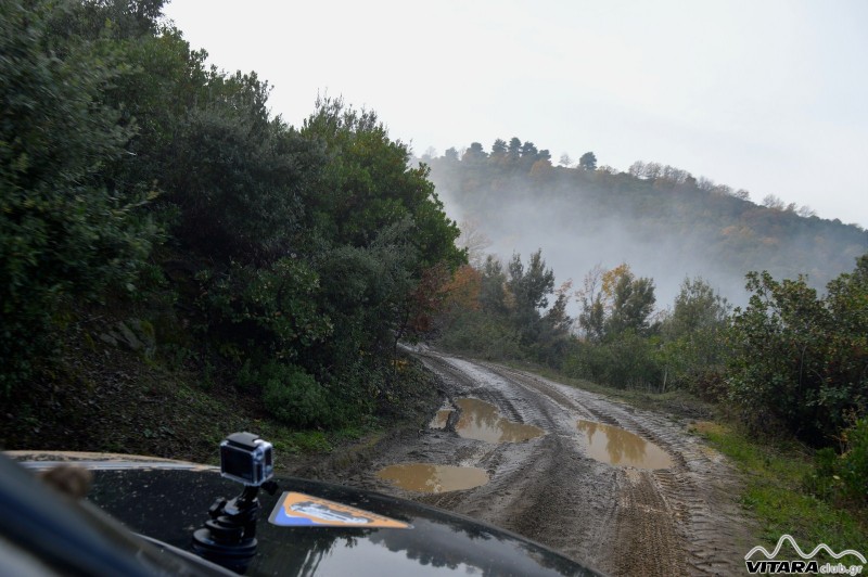 DSC_3061 Vitaraclub.gr_B.Ευβοια_29.11.2014.JPG