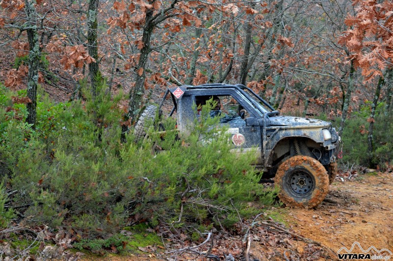 DSC_3486 Vitaraclub.gr_B.Ευβοια_29.11.2014.JPG