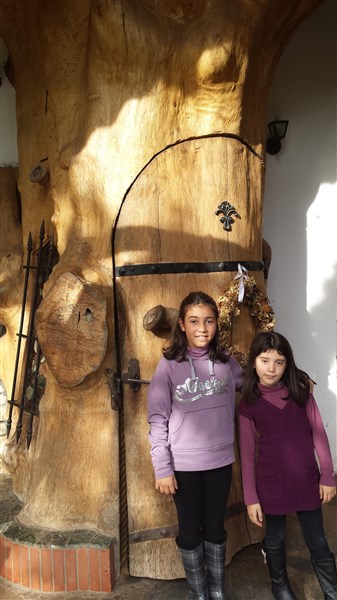 20141206_141142 (337 x 600).jpg