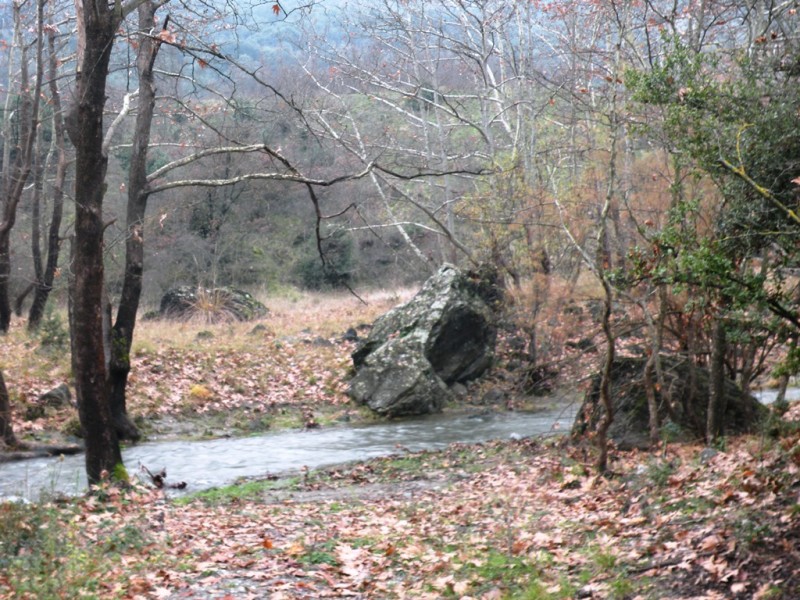 DSCN9253v.jpg