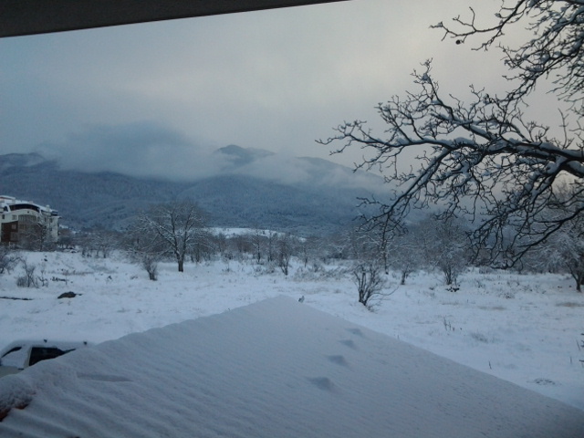20141229_082313.jpg