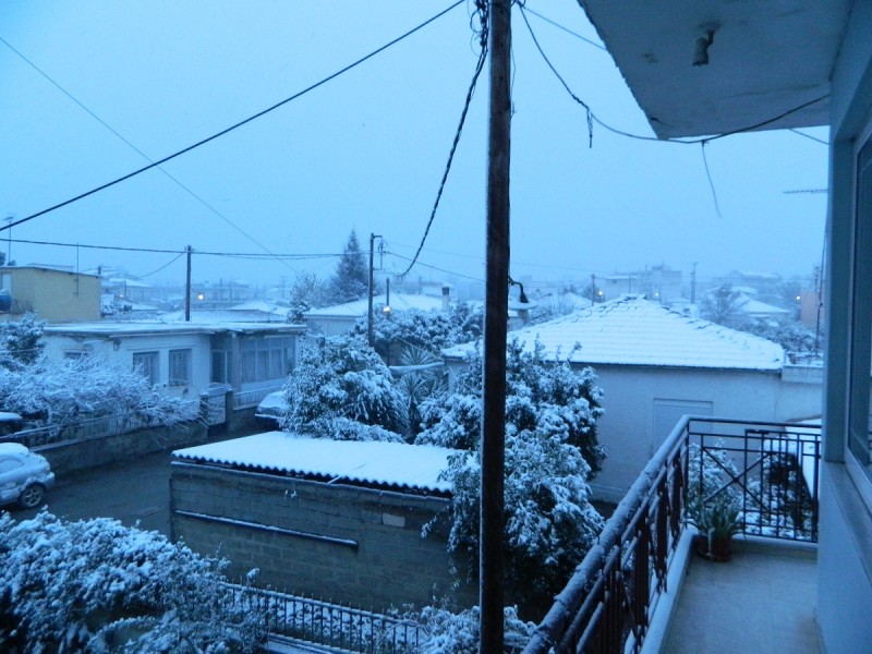 DSCN7099.JPG